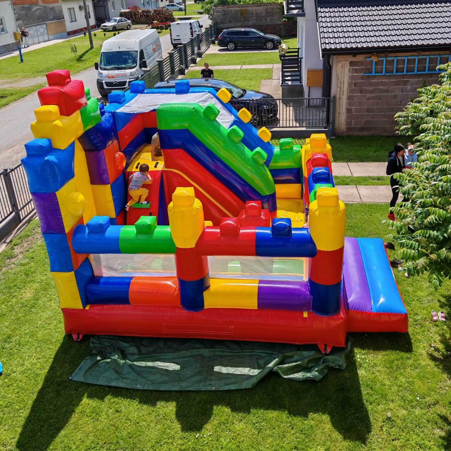 Napuhanac Šarene kockice - pogled odozgo